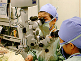手術の様子